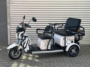 Arora Electra AR1000