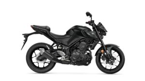 Yamaha MT 25 5