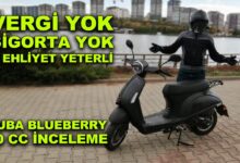Kuba Blueberry 50