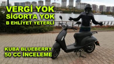 Kuba Blueberry 50